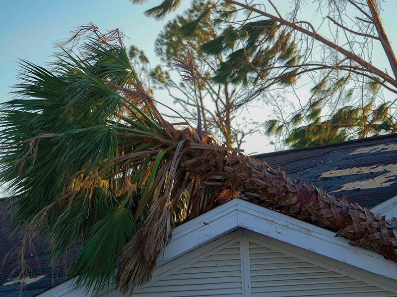 How To Prepare For Hurricane Season?