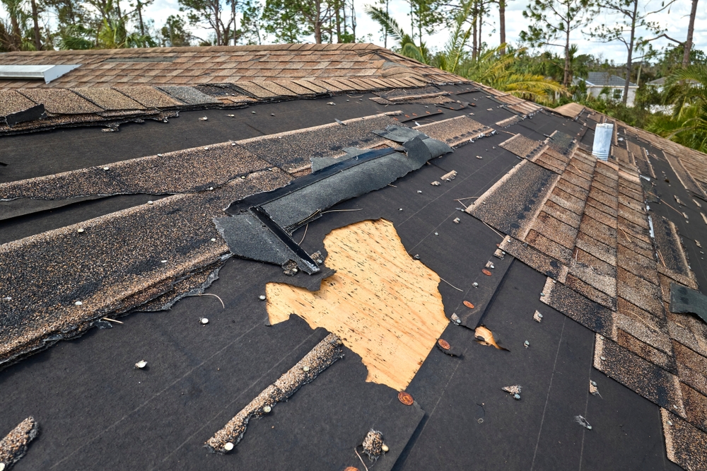 shutterstock_2211204159 Wind damage