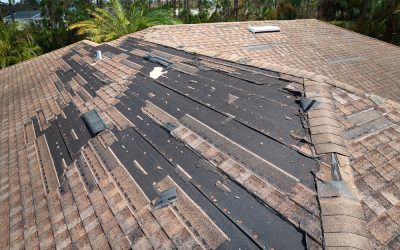 Is It Time for a Roof Replacement in Orange Park, FL? Find Out Here!